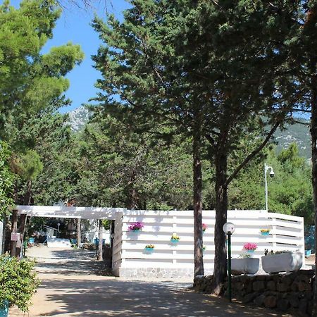 Camping Car Palmasera Cala Gonone Εξωτερικό φωτογραφία
